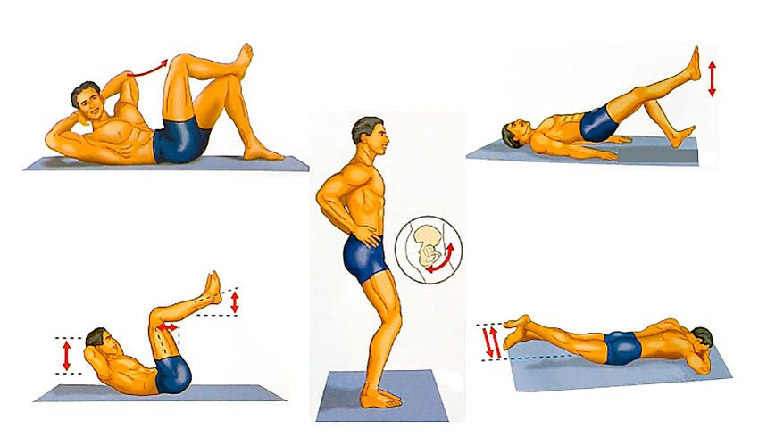 Le pénis augmente les exercices
