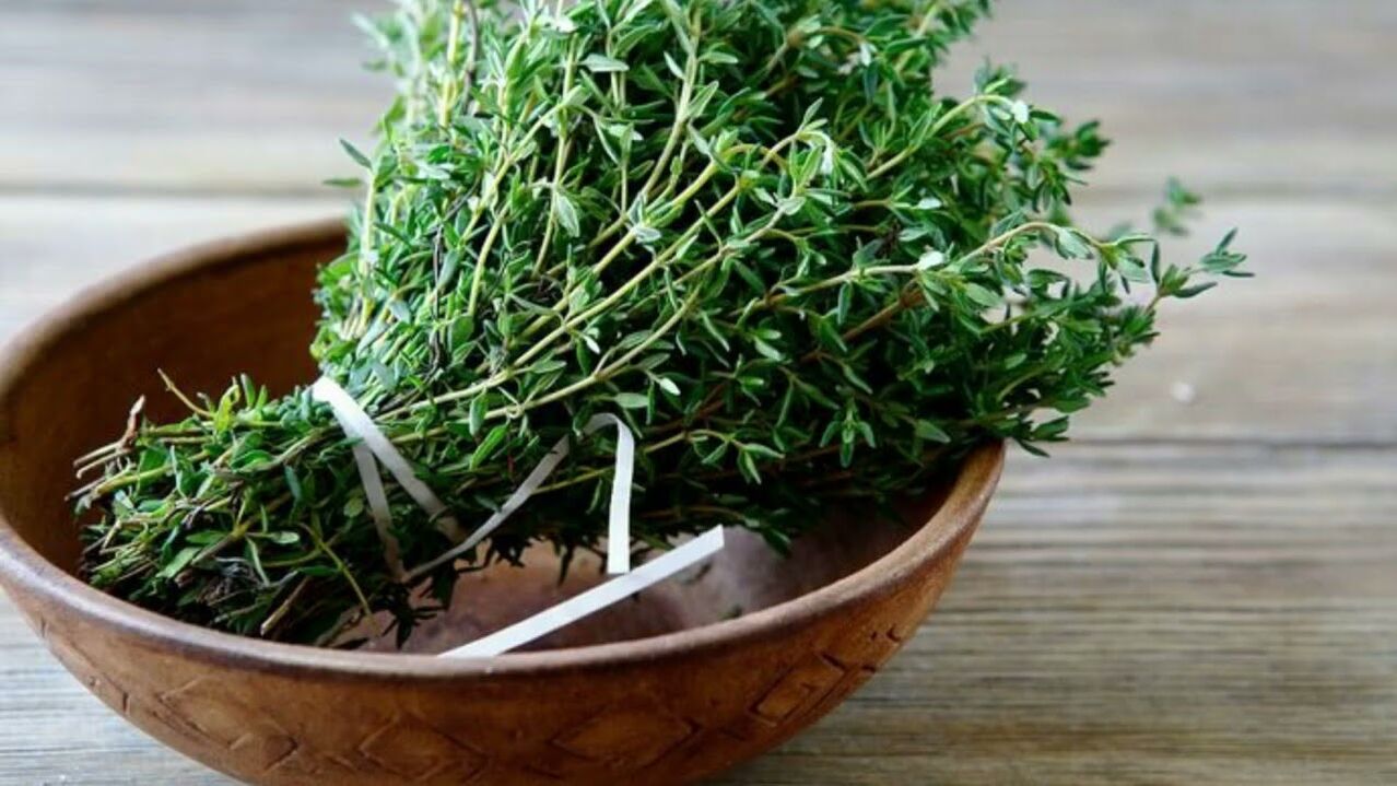 Le thymus agrandit le pénis si vous buvez du thé à base de thymus
